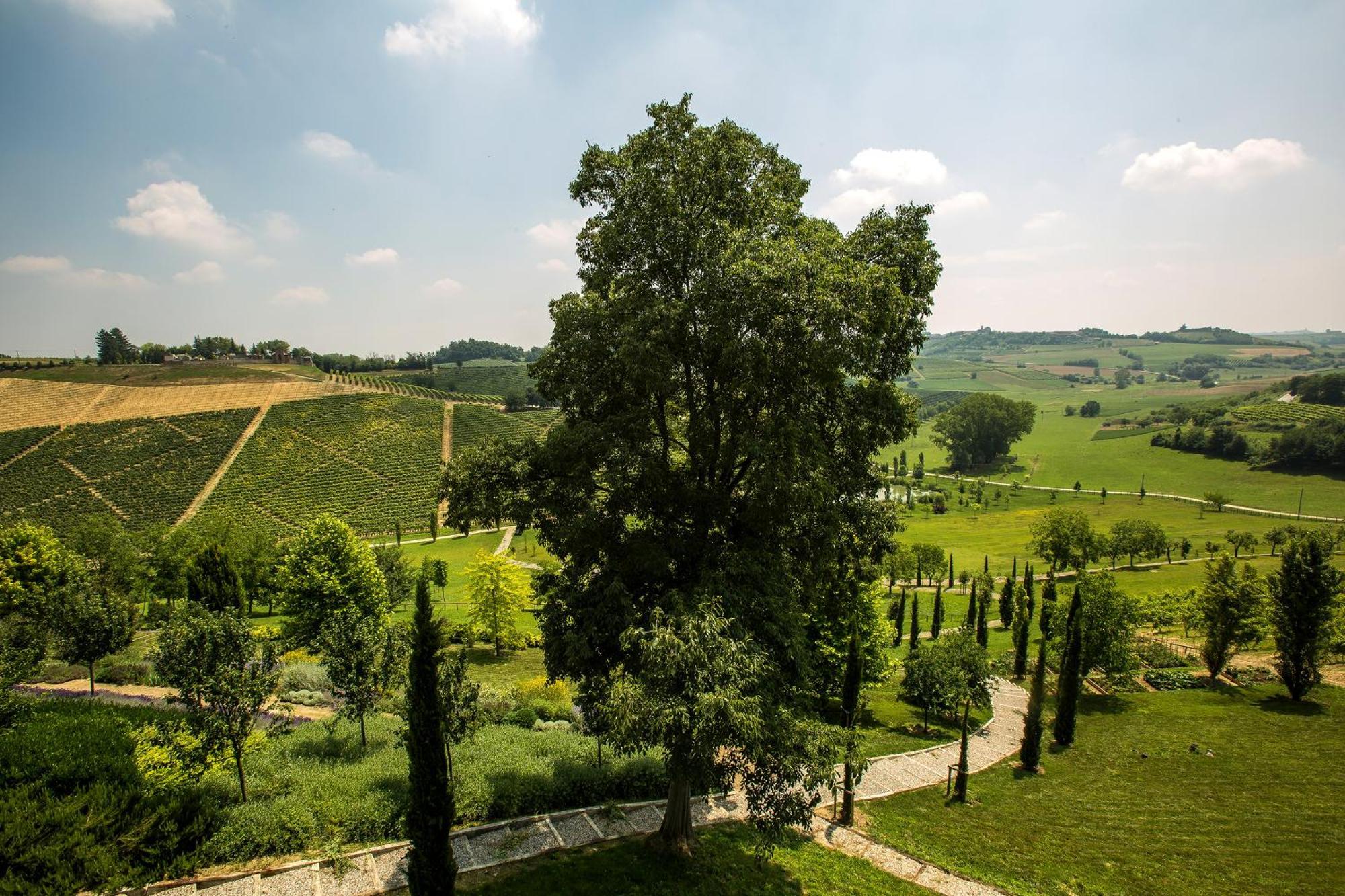 Relais Di Tenuta Santa Caterina B&B Grazzano Badoglio Værelse billede