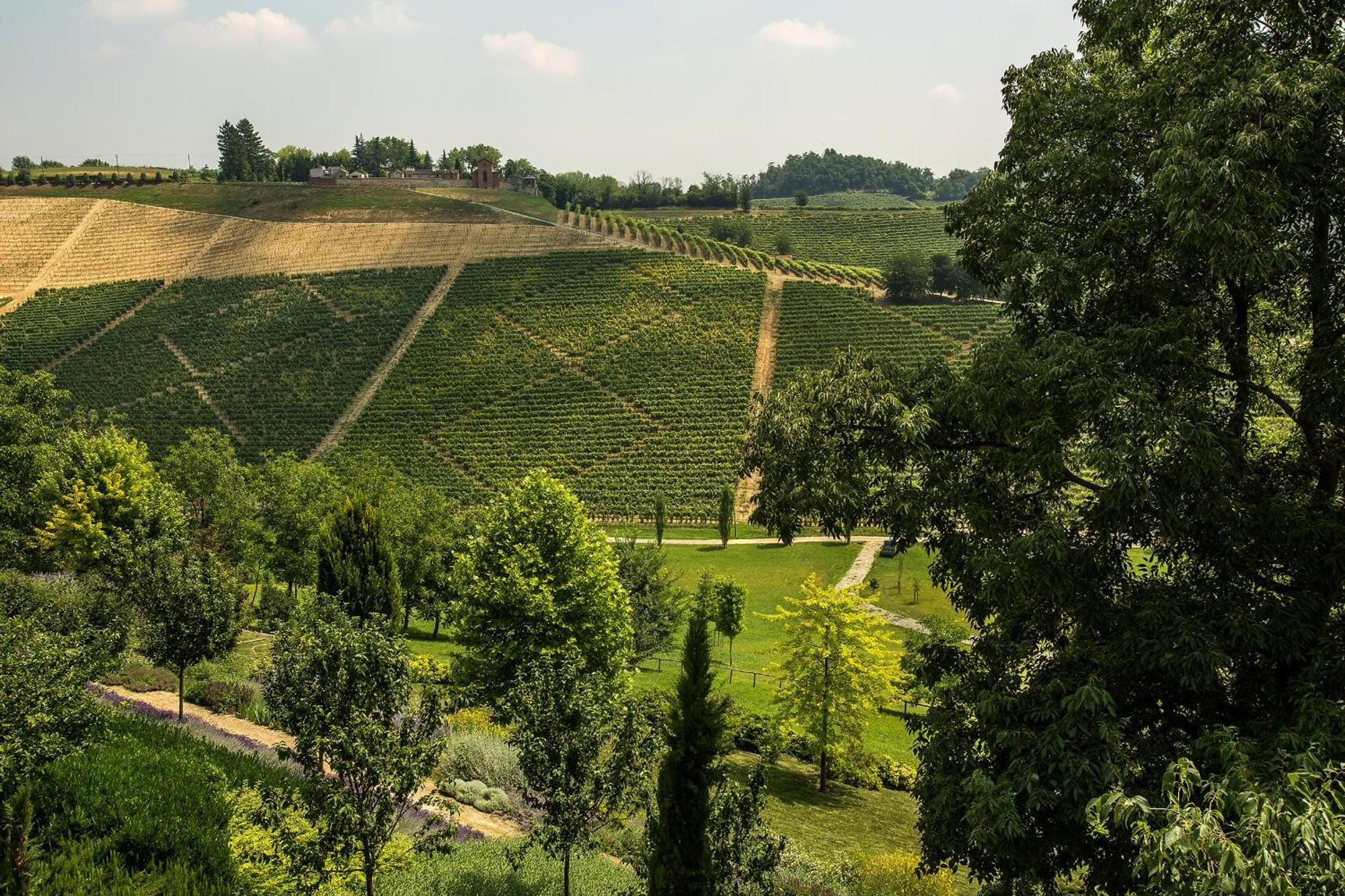 Relais Di Tenuta Santa Caterina B&B Grazzano Badoglio Værelse billede